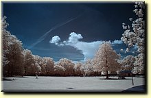 _IGP1177_mod.jpg