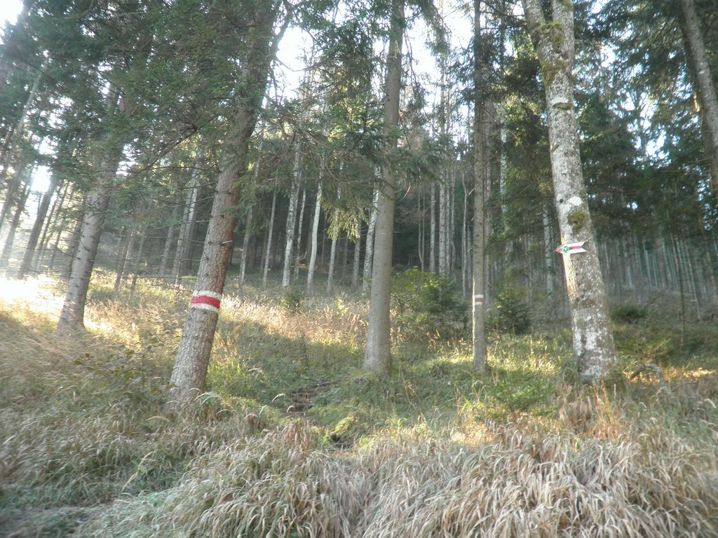 PA230013.JPG