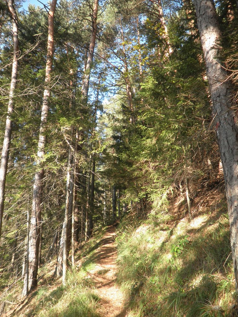 PA230019.JPG