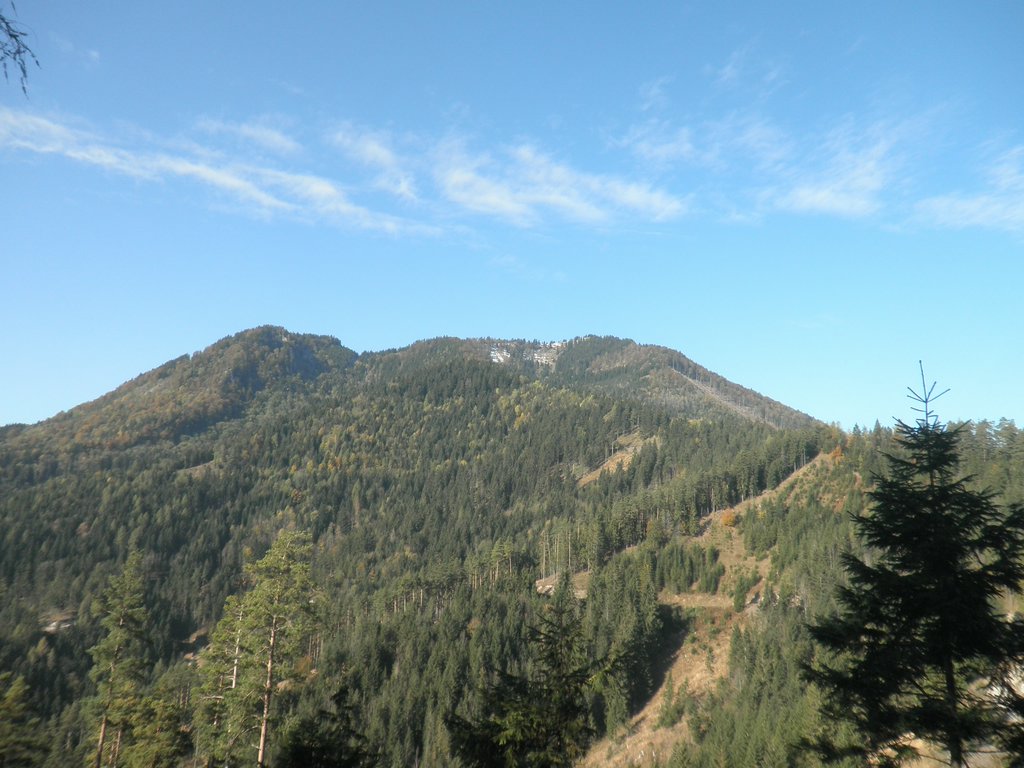 PA230020.JPG