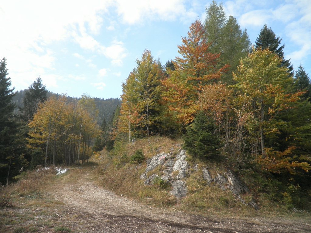 PA230021.JPG