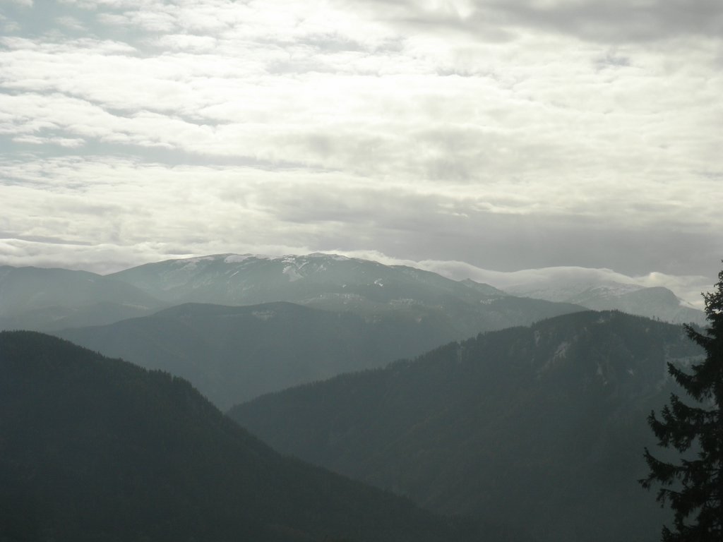 PA230022.JPG