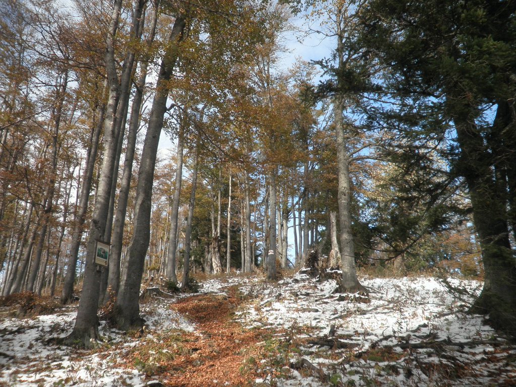 PA230025.JPG