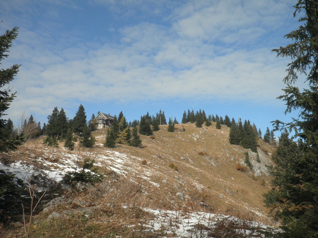 PA230026.JPG