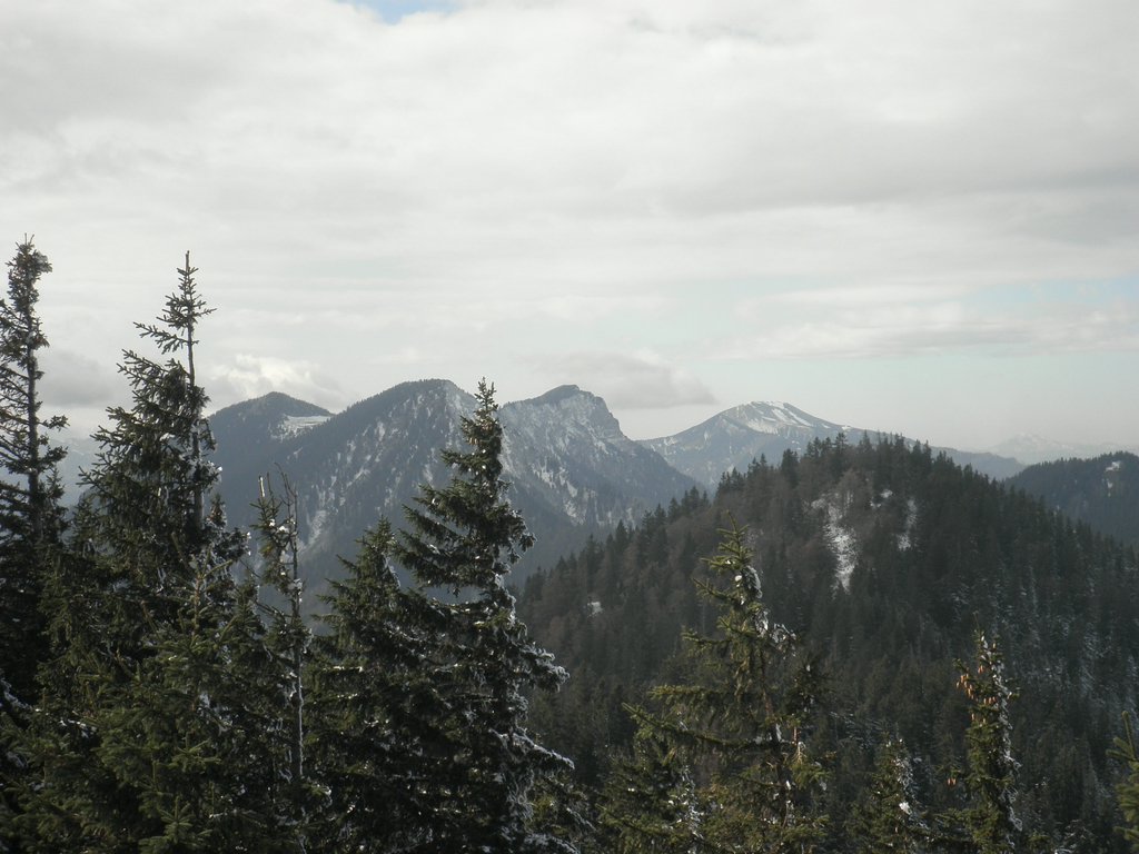 PA230031.JPG