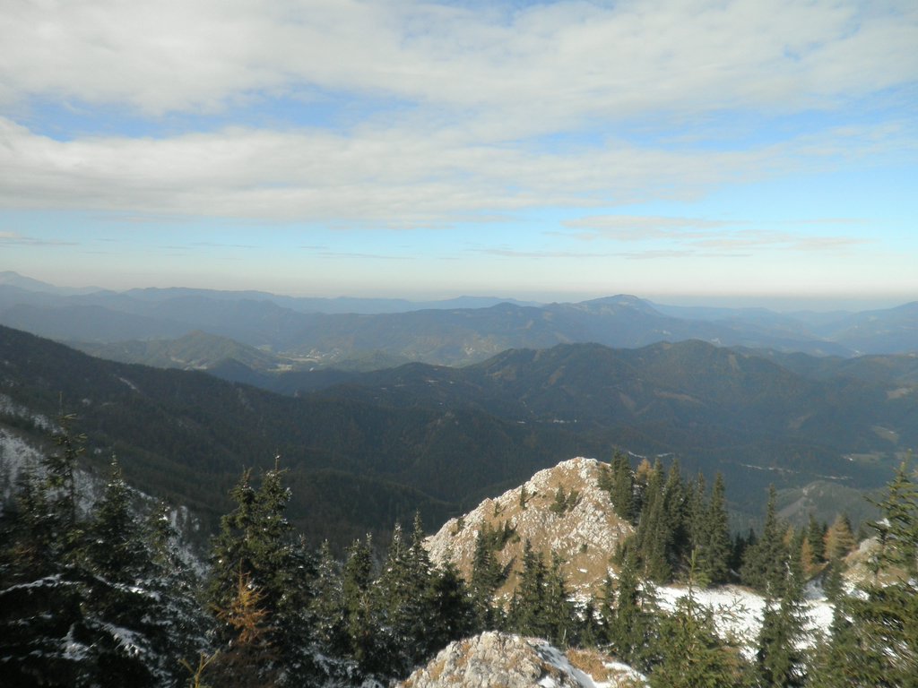 PA230032.JPG