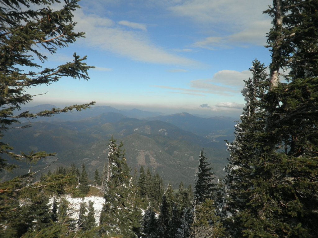 PA230033.JPG