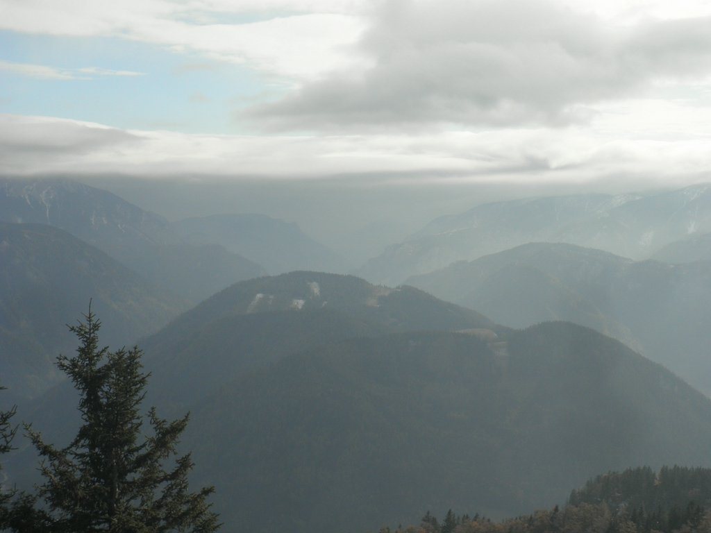 PA230039.JPG