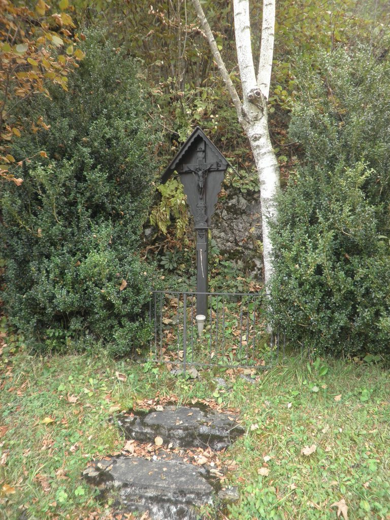 PA230066.JPG
