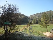 PA230010.JPG