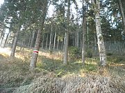 PA230013.JPG