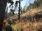 PA230016.JPG