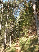 PA230019.JPG