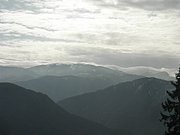 PA230022.JPG
