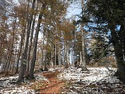 PA230025.JPG