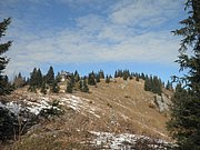PA230026.JPG