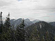 PA230031.JPG