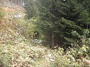 PA230049.JPG