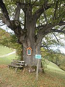 PA230057.JPG