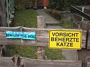 PA230064.JPG
