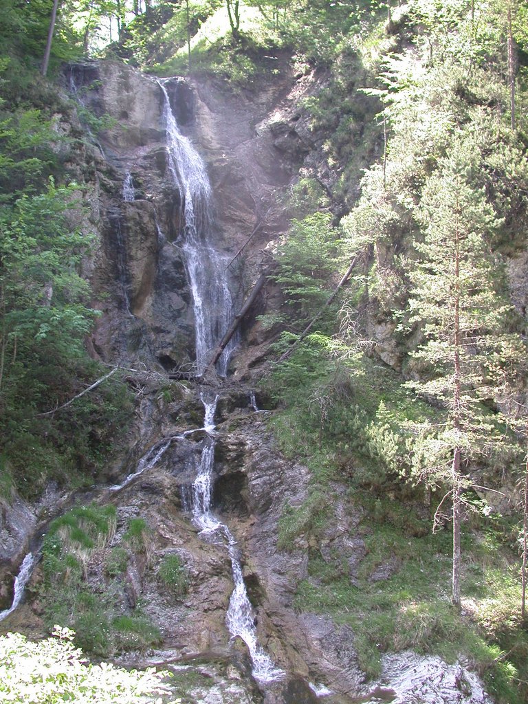 DSCN5774.JPG
