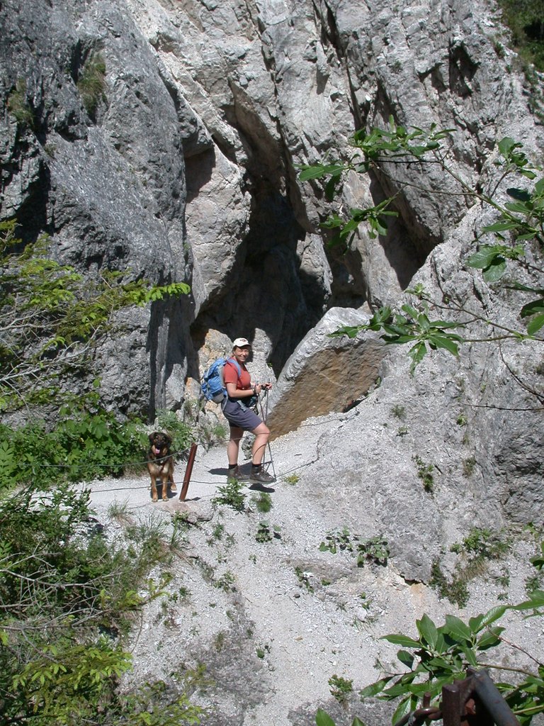 DSCN5780.JPG