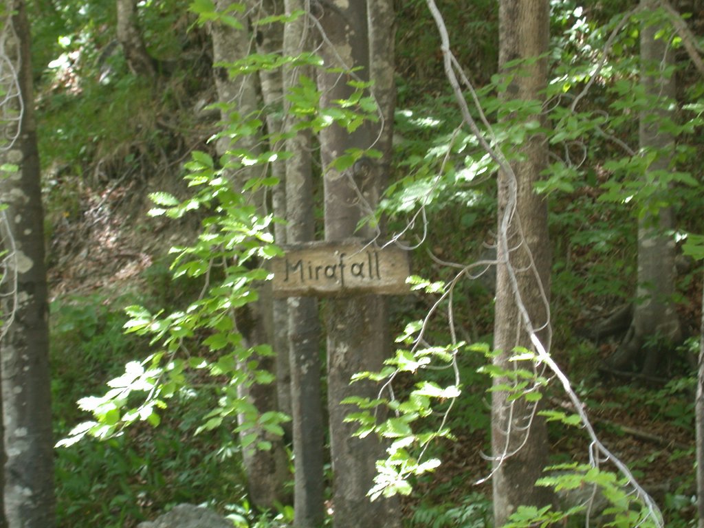 DSCN5798.JPG