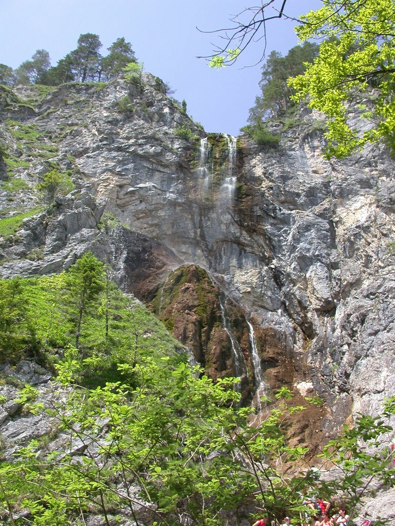 DSCN5804.JPG