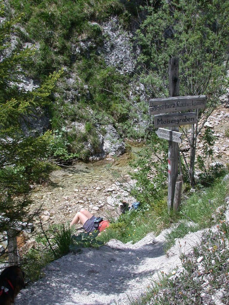DSCN5806.JPG