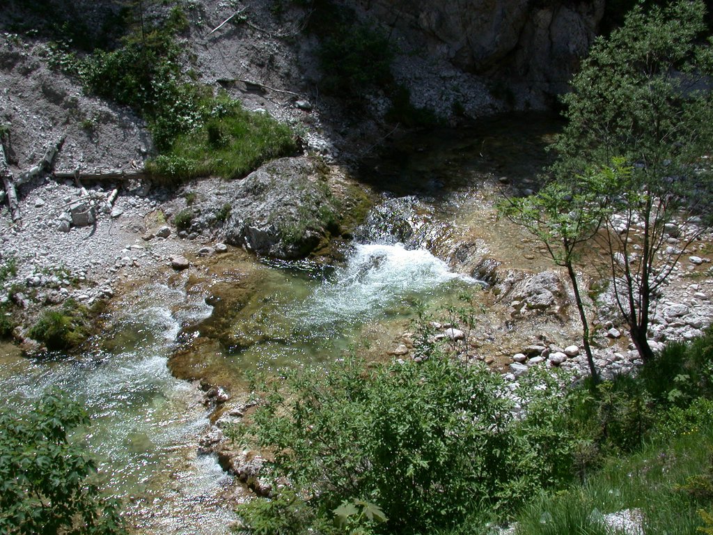DSCN5821.JPG