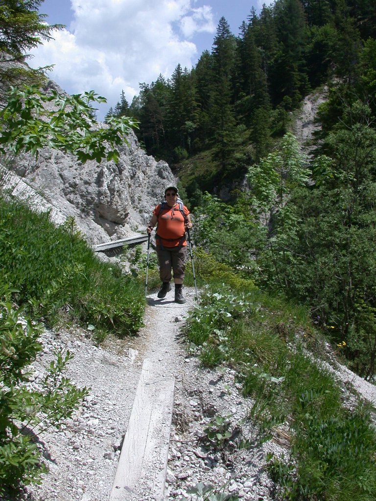 DSCN5822.JPG