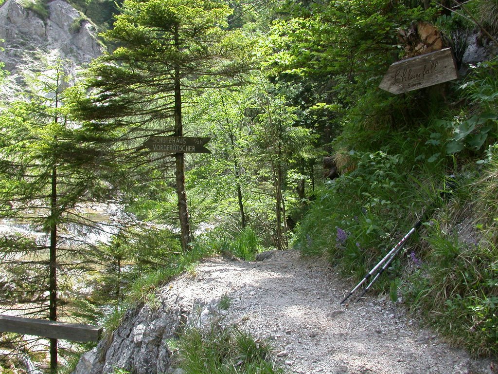 DSCN5835.JPG