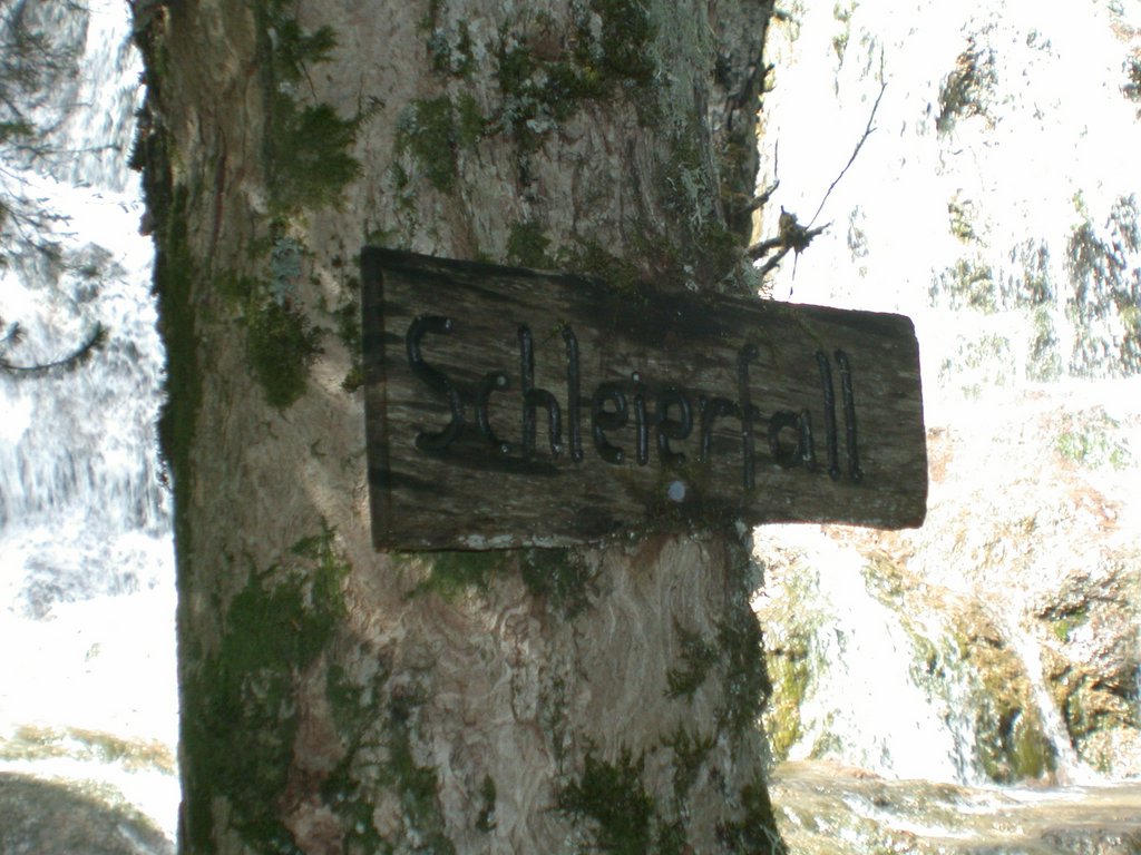 DSCN5838.JPG