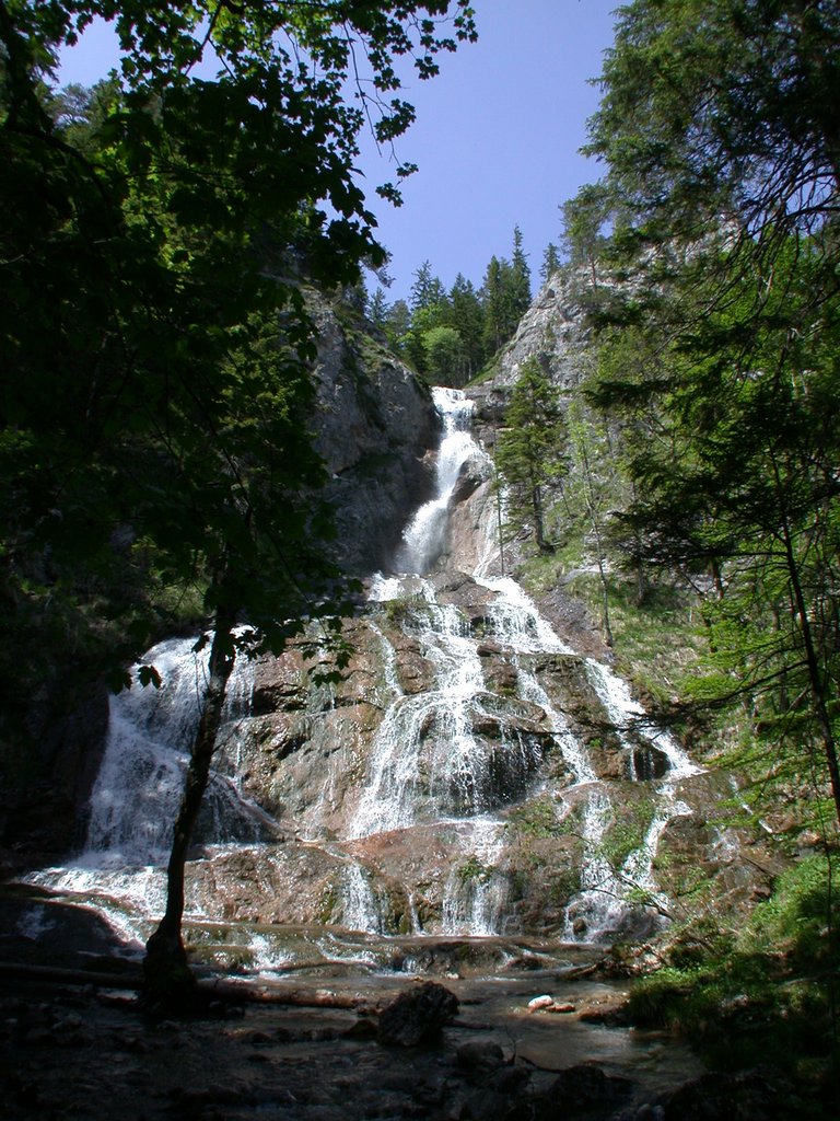 DSCN5849.JPG