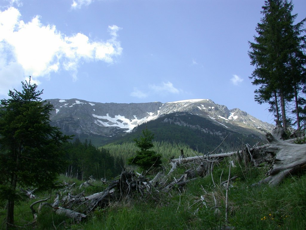 DSCN5854.JPG