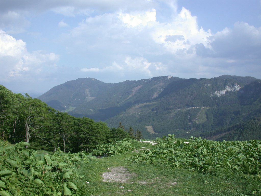 DSCN5878.JPG