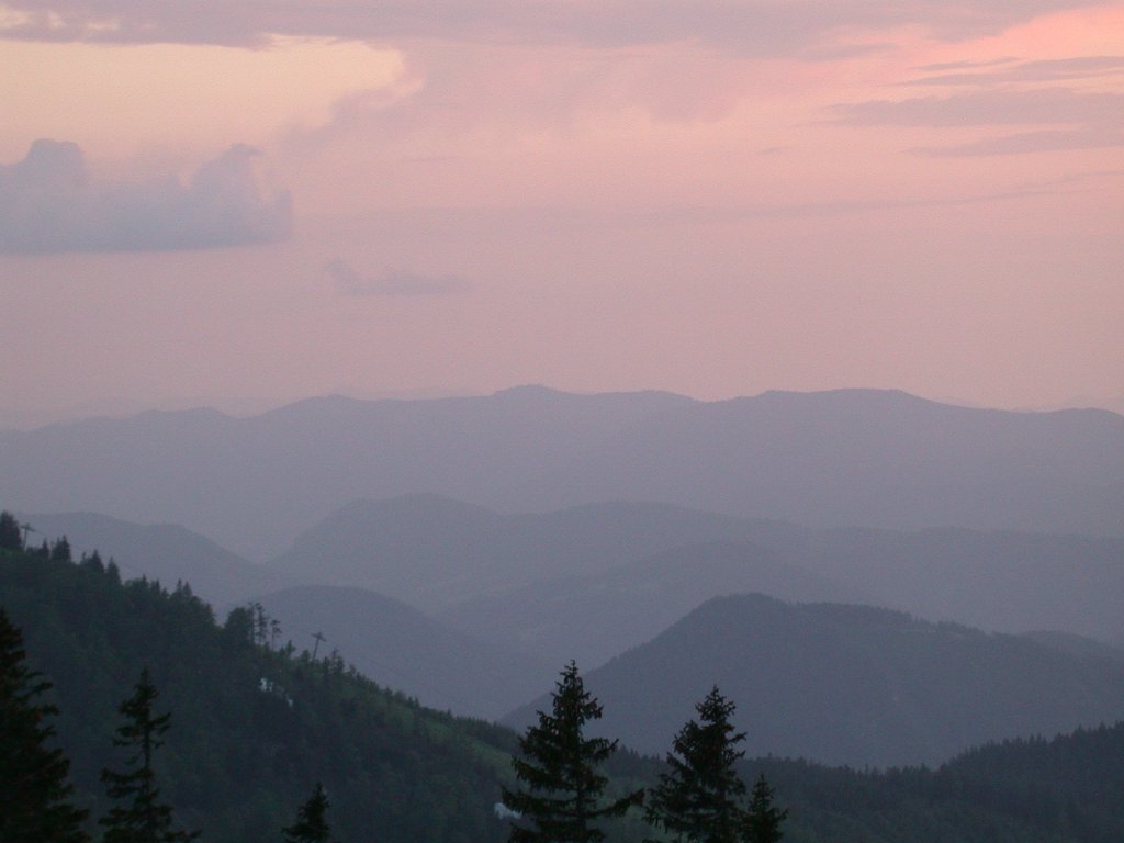 DSCN5913.JPG