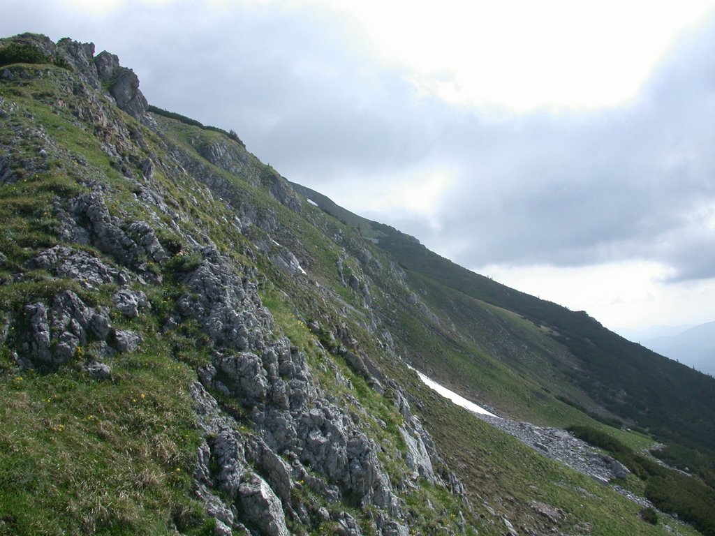 DSCN5942.JPG