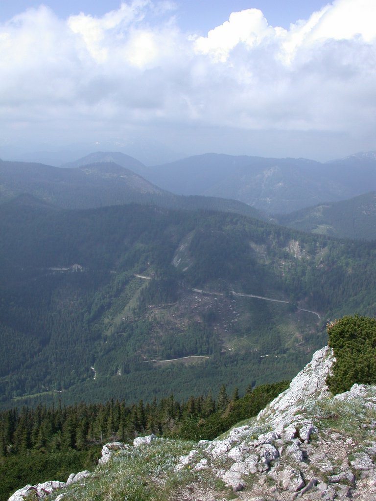 DSCN5944.JPG