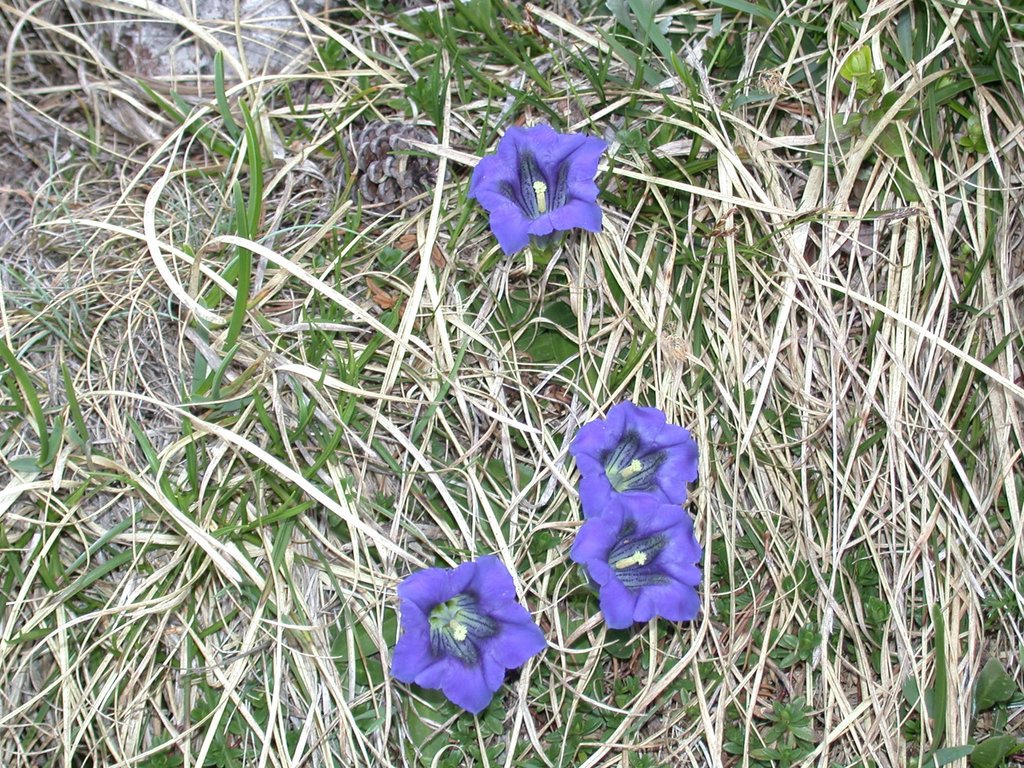 DSCN5948.JPG