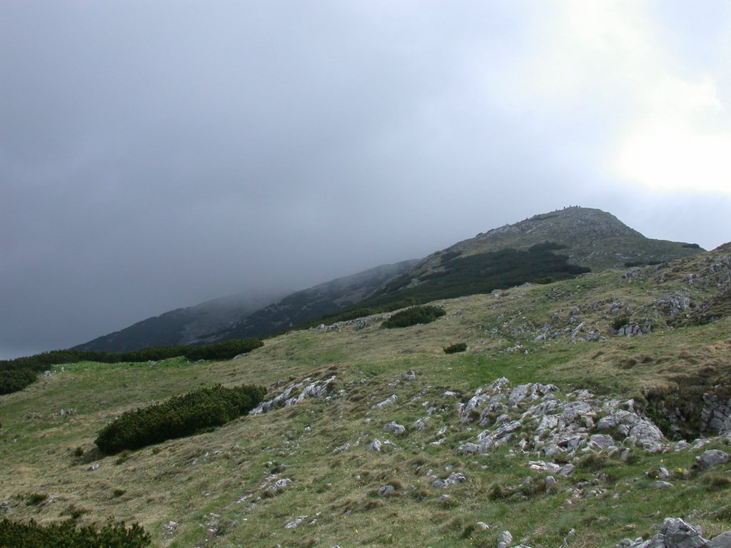 DSCN5956.JPG