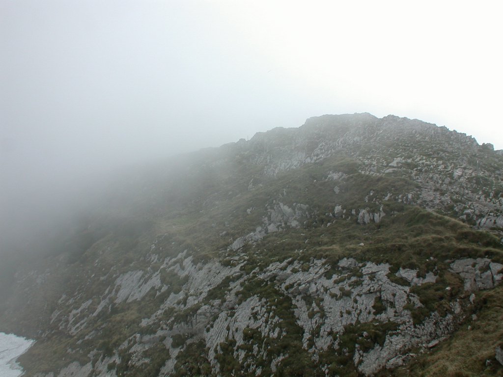 DSCN5960.JPG