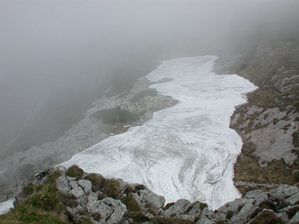 DSCN5961.JPG