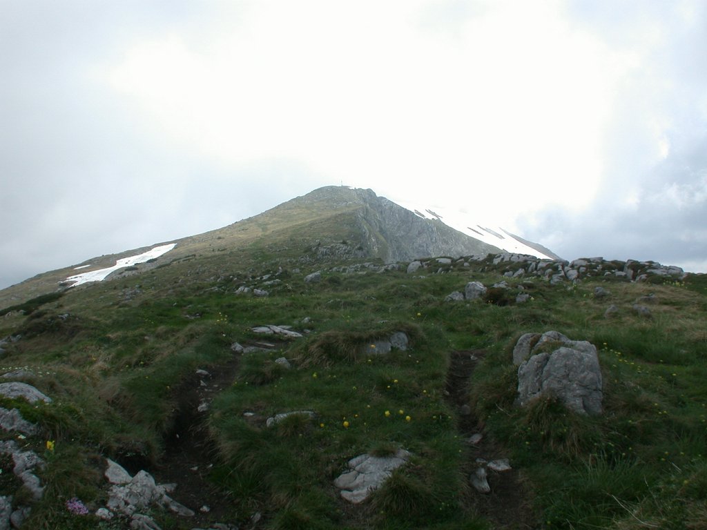DSCN5969.JPG