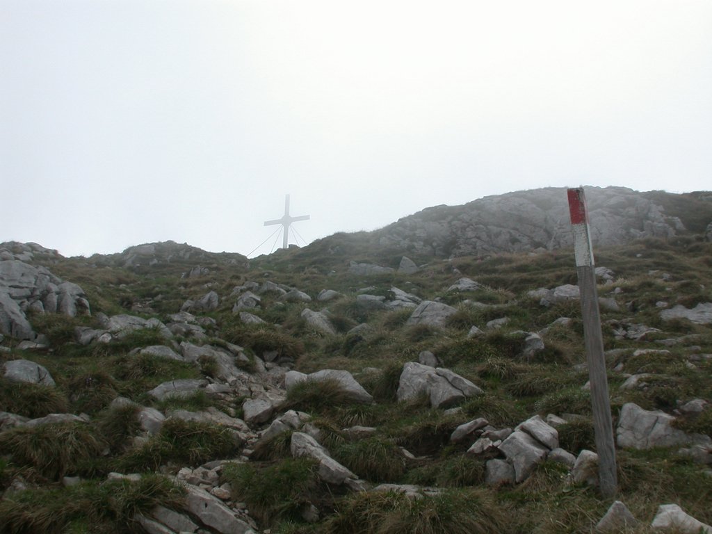 DSCN5974.JPG