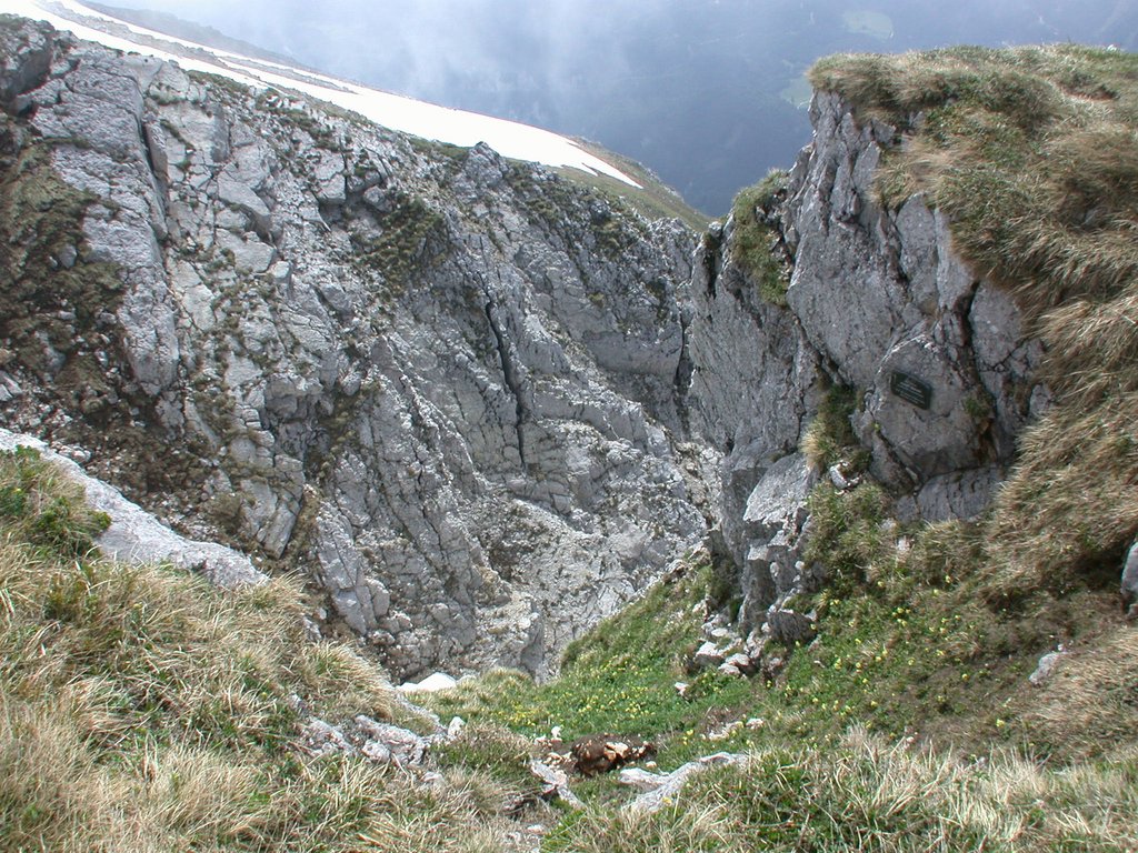 DSCN5983.JPG