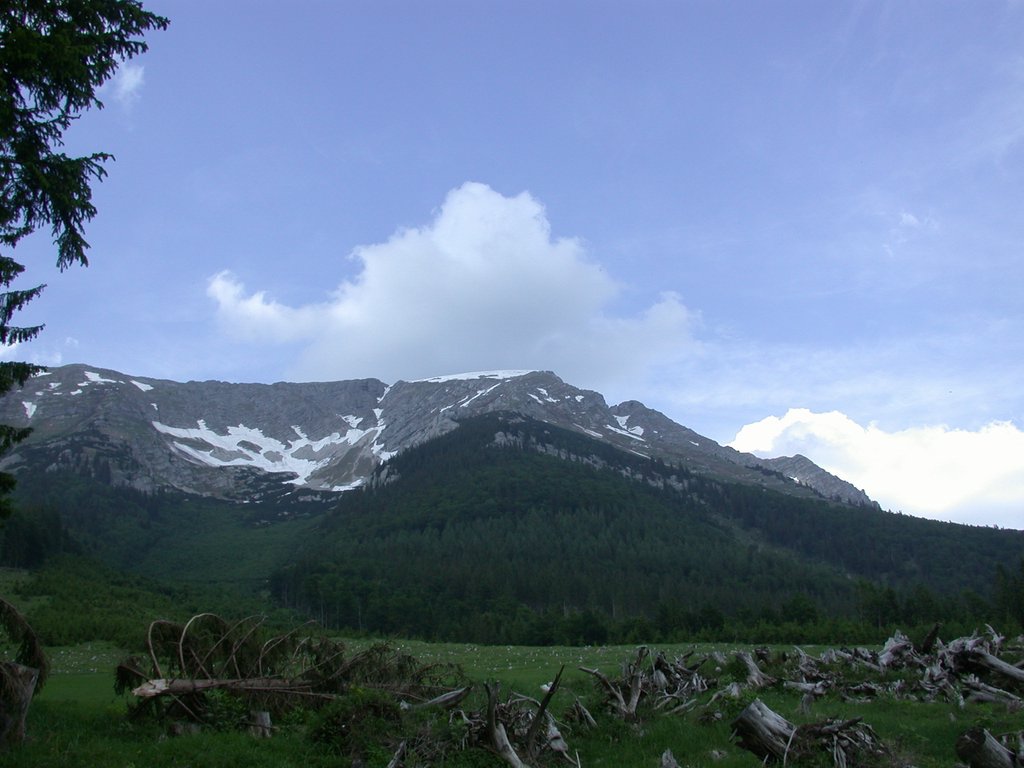 DSCN6000.JPG