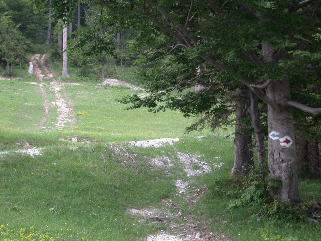 DSCN6006.JPG