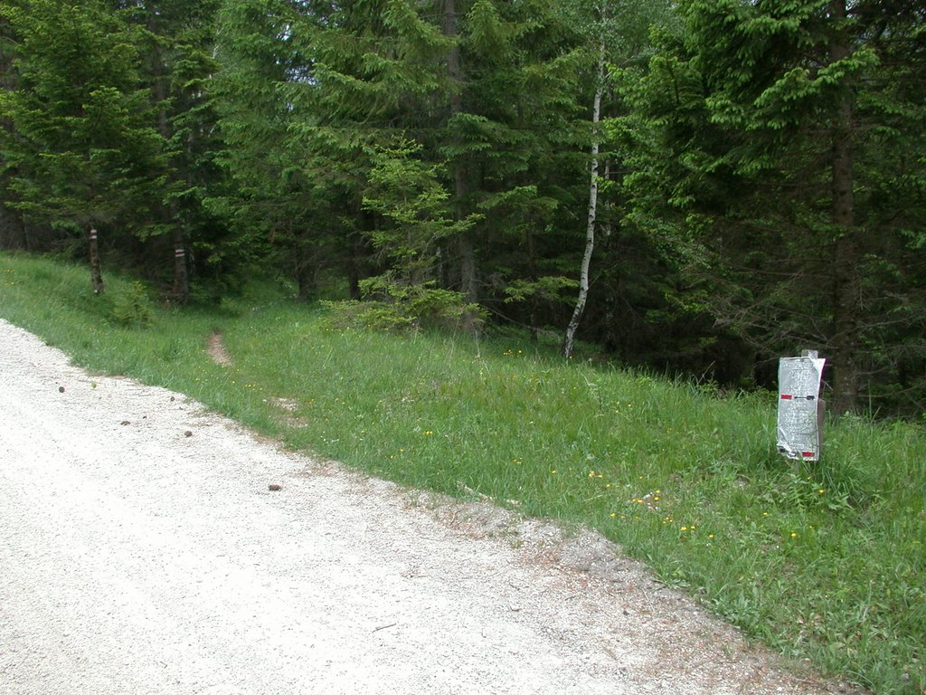 DSCN6007.JPG