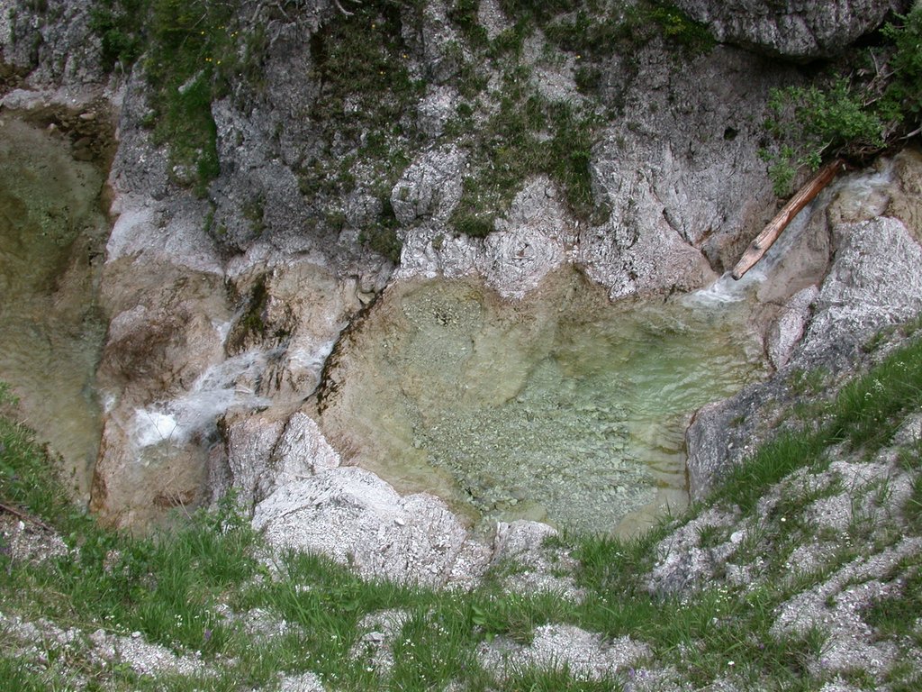 DSCN6010.JPG